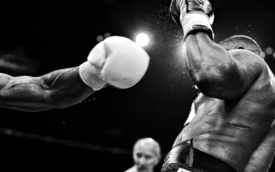 WordPress vs le reste du monde